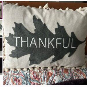 New - Thankful pillow - NWOT